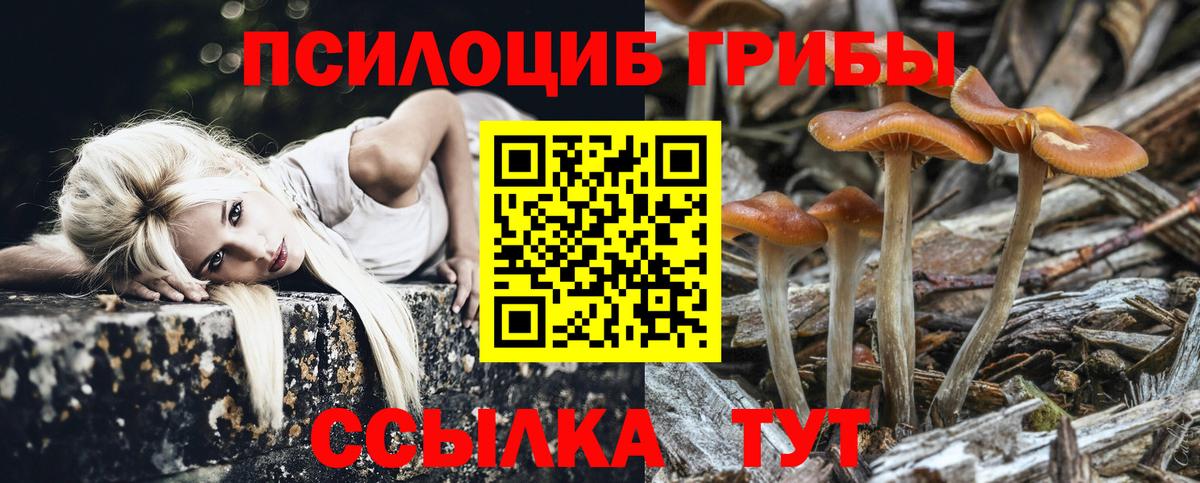 Псилоцибиновые грибы Cubensis Бузулук